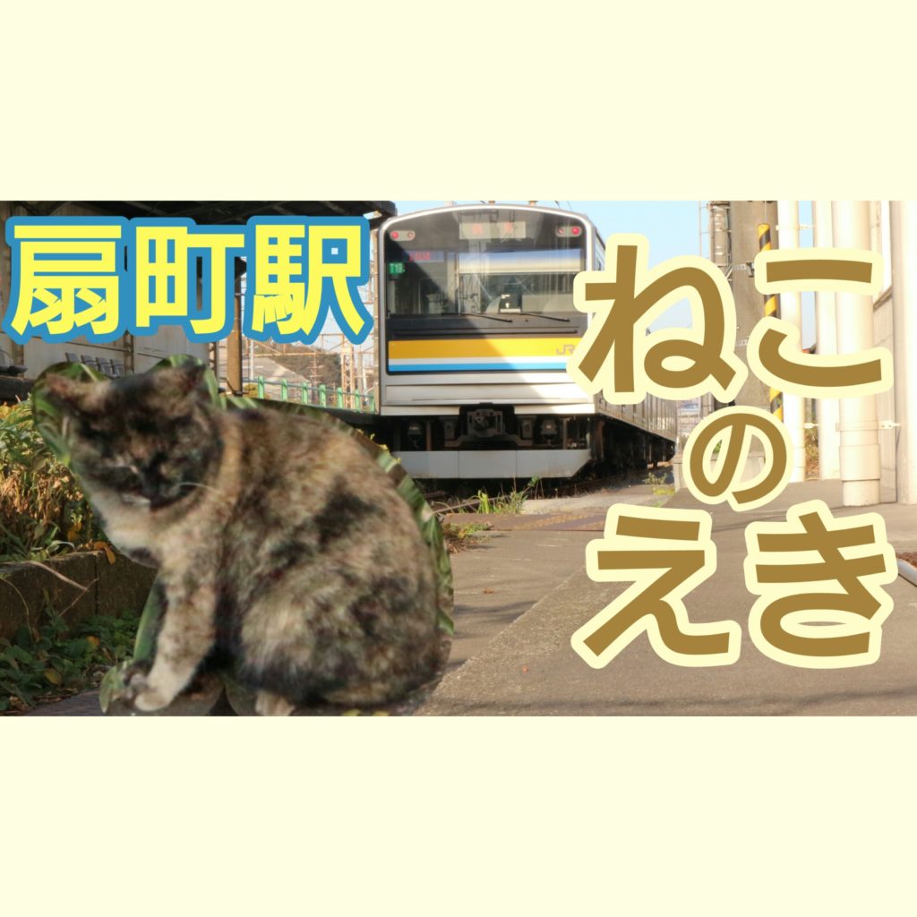 猫が集まっている 鶴見線終点の扇町駅 鶴見3 Pass Case