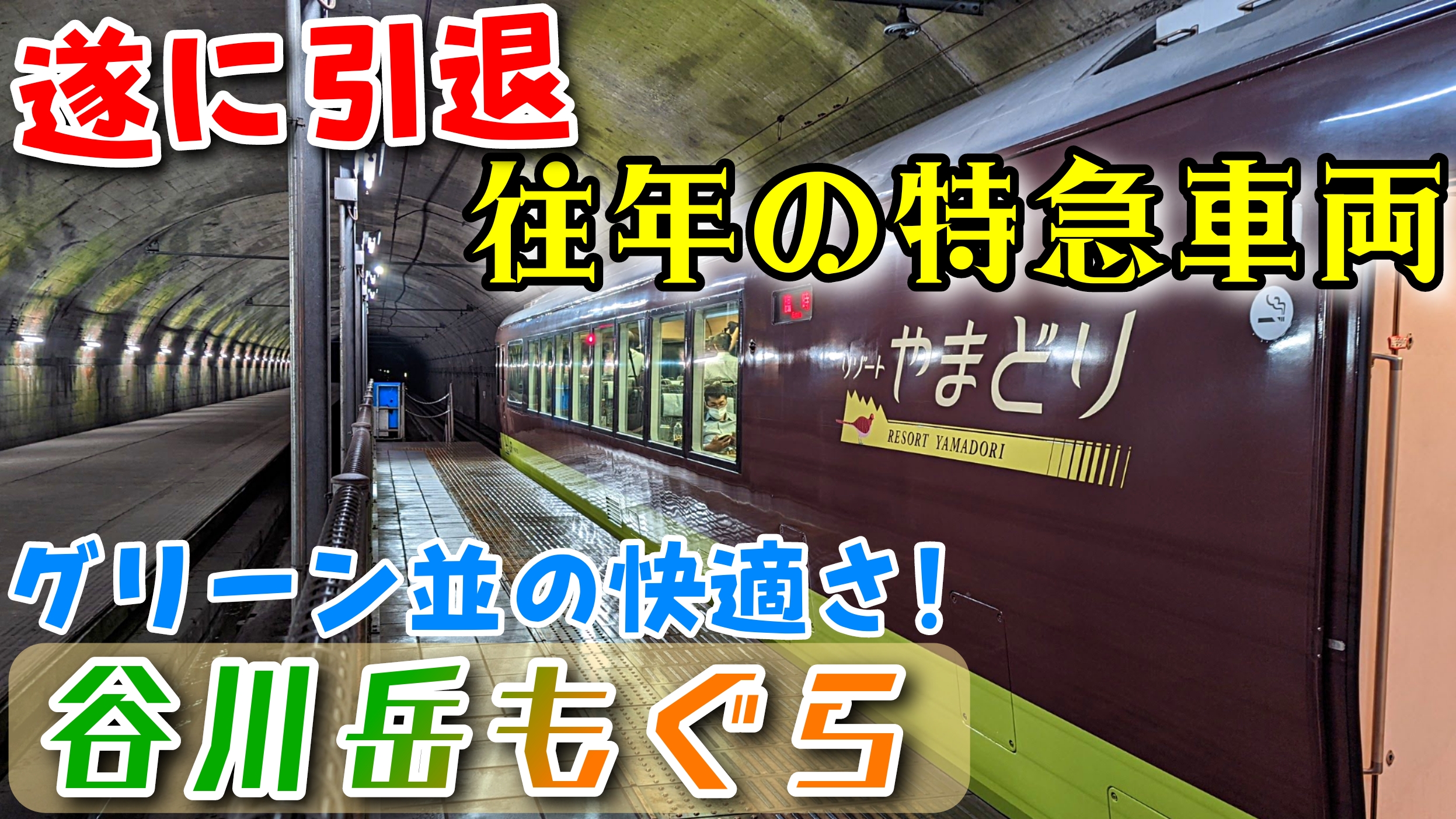 485系運行終了】リゾートやまどり号で行く谷川岳もぐら乗車記 | pass-case.com (Ameba版)