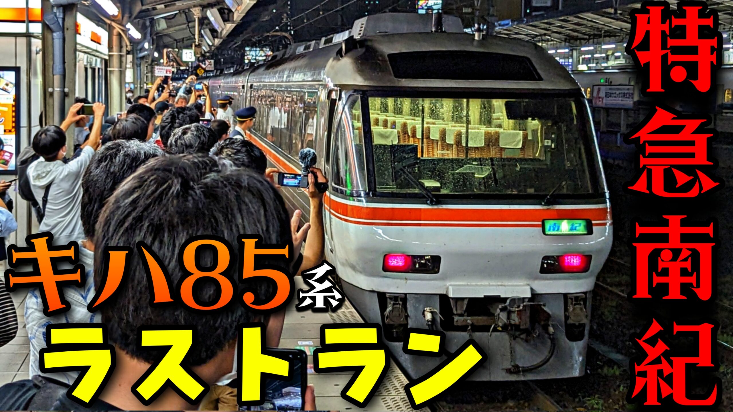 引退】キハ85系最終列車 特急南紀ラストラン名古屋行き乗車記 | pass-case.com (Ameba版)